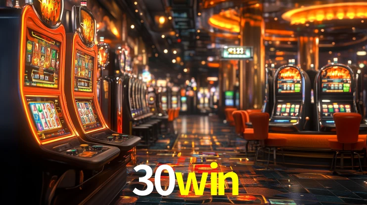 30win App Interface